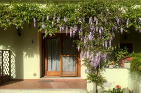 Luciana House